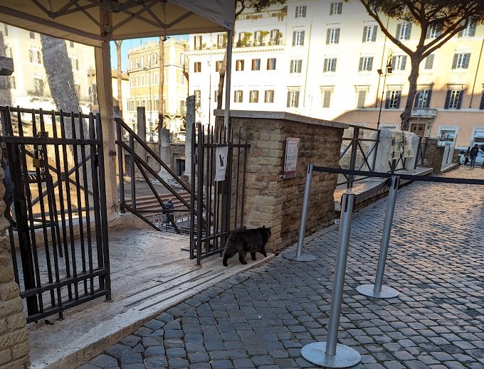 トッレ・アルジェンティーナ広場の遺跡2