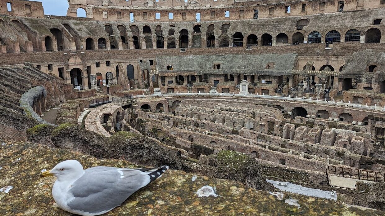 コロッセオの中