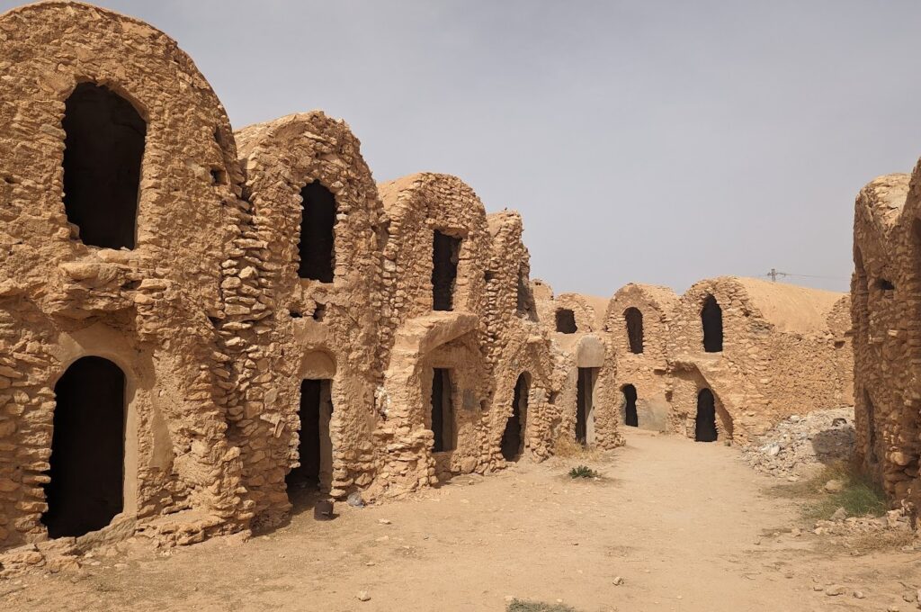 クサール・ハダダ（モス・エスパ）2