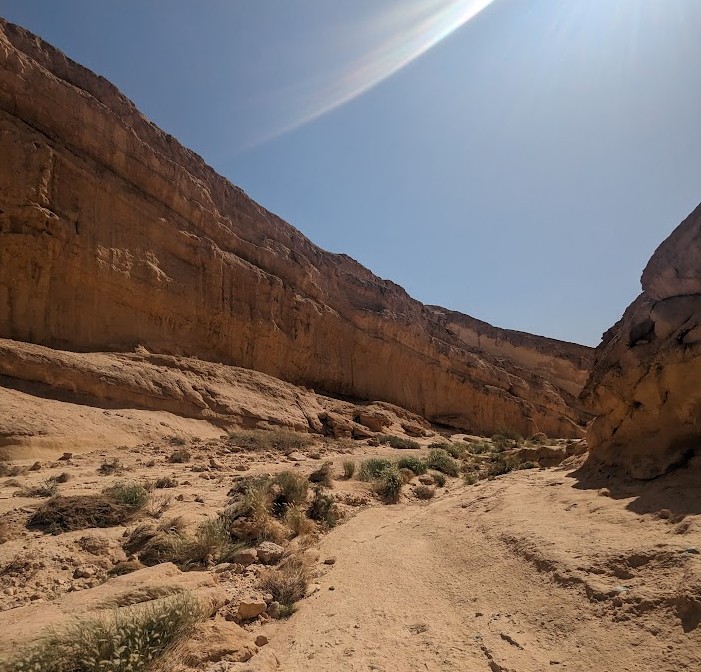 シディ・ブフレル（シャンドランド渓谷）2