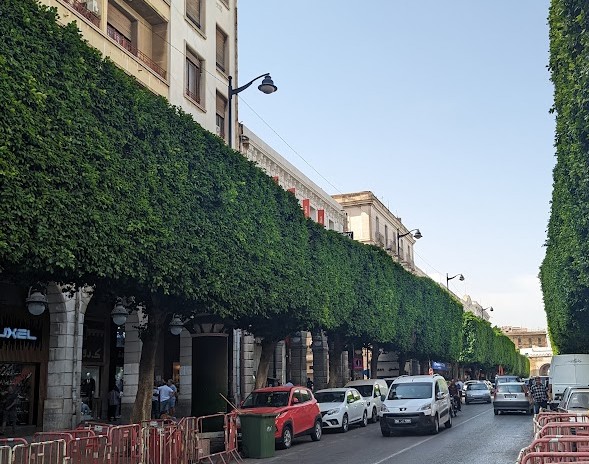 チュニス大聖堂３