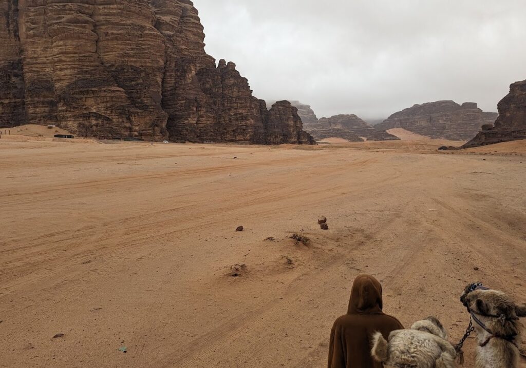 ラクダに乗ってホテル周辺散策