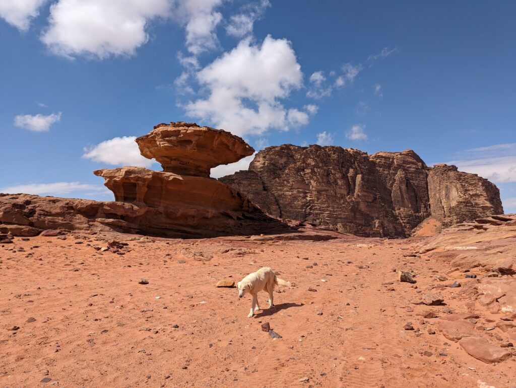 アラビアのロレンスロケ地
