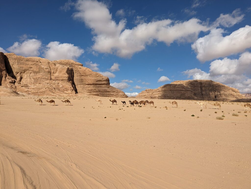 ジャイアント・ロック・ブリッジ5