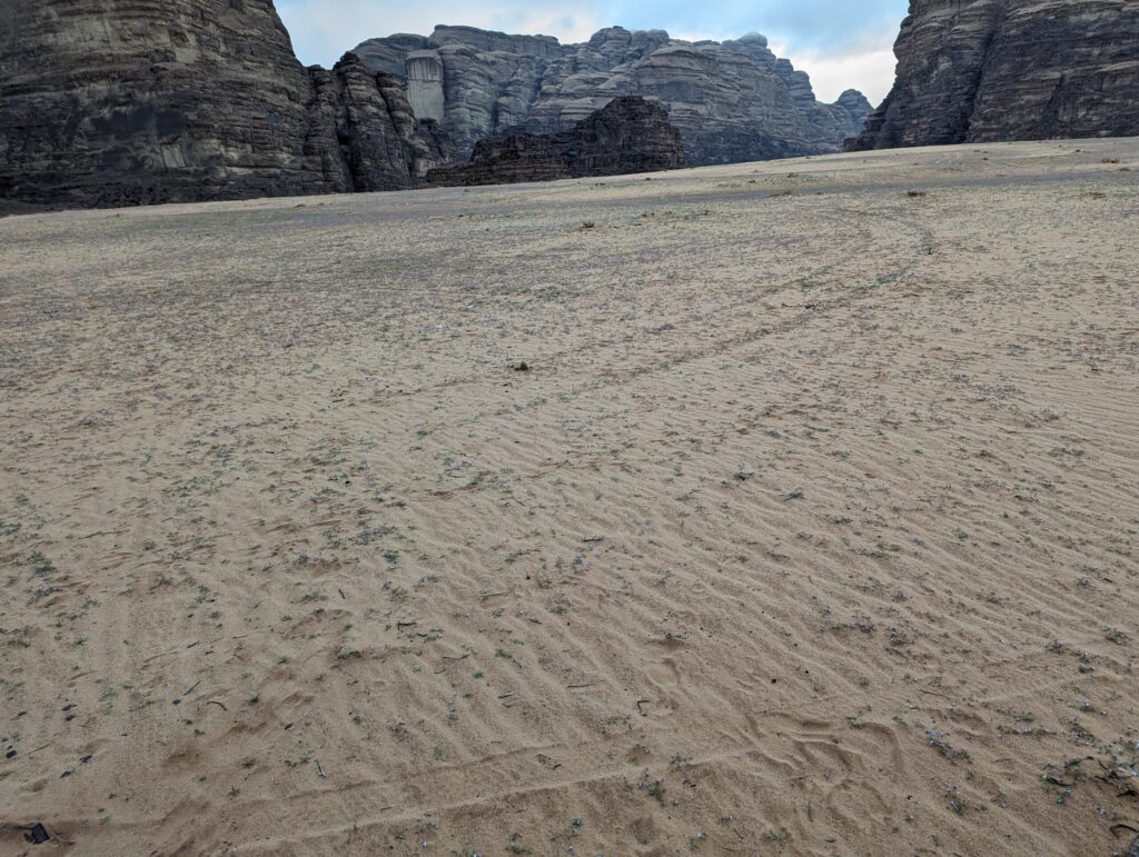 ラクダに乗ってホテル周辺散策3