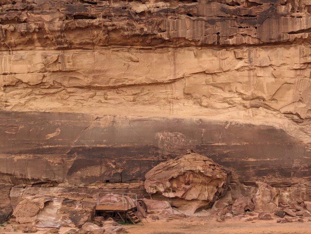 ラクダの岩面彫刻2