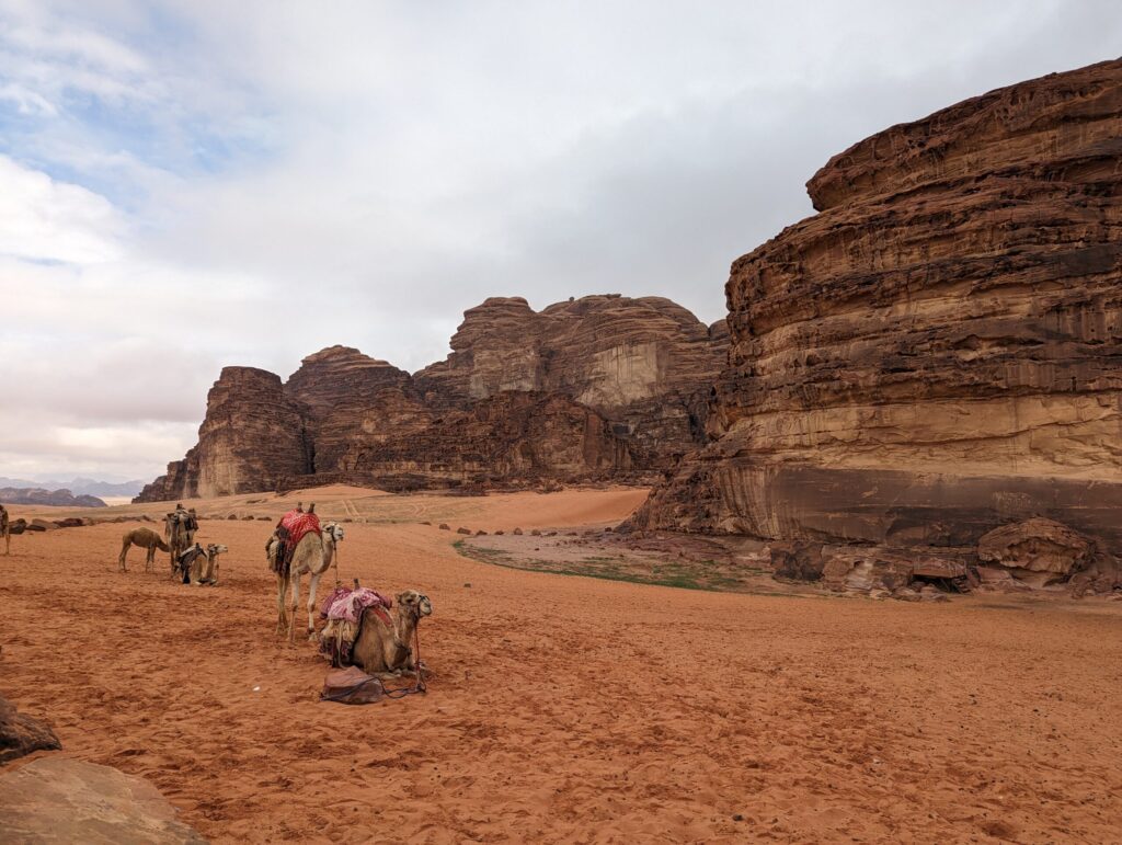 ラクダの岩面彫刻3
