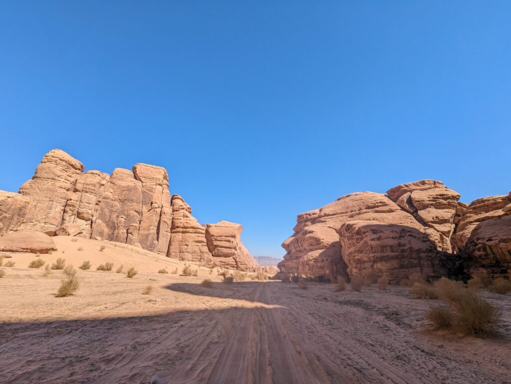 バードストーン3