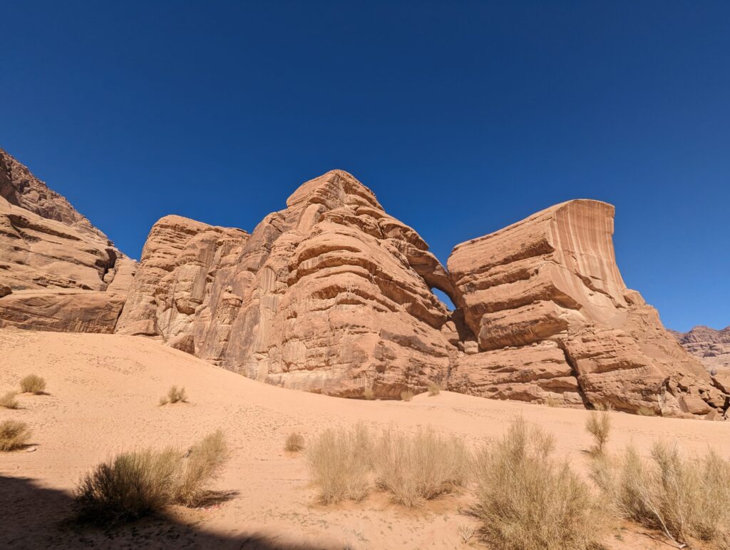 バードストーン4