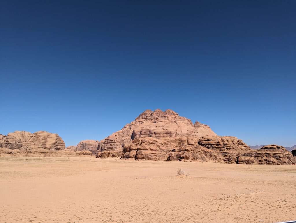 バードストーン5